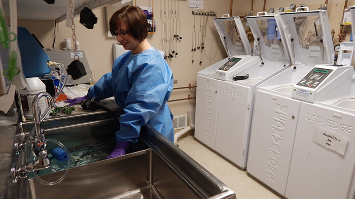 A woman in scrubs stands in a clean room at the Mankato Clinic Endoscopy Center, preparing supplies and equipment for a procedure.